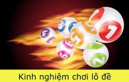 kinh nghiệm nuôi lô 1